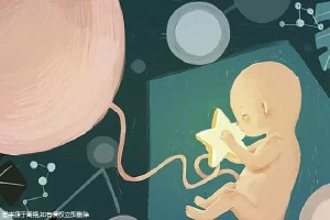 专家肖像